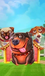 The Dog House