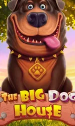 The Big Dog House